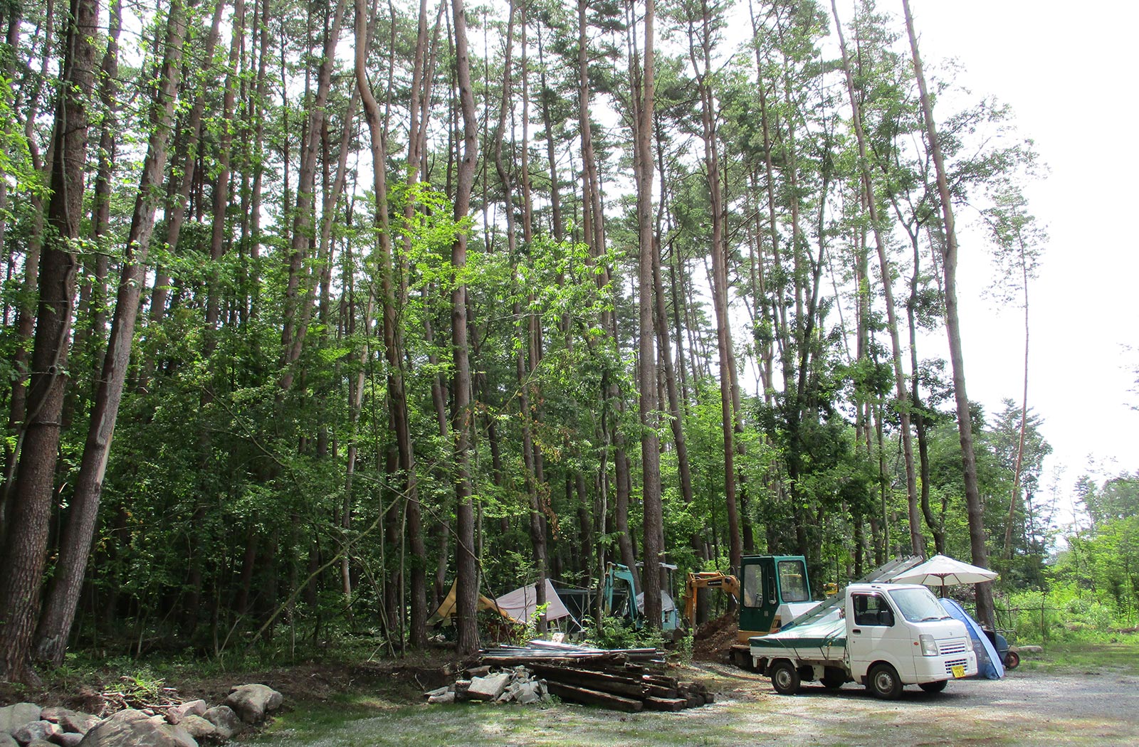 森林整備の施工前