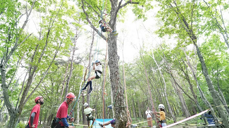 ツリークライミング体験会