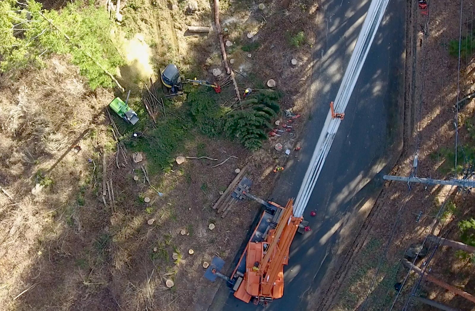 ラフタークレーンを使用した伐採の現場