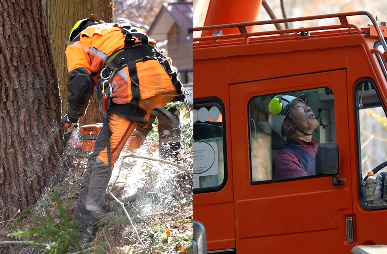 ラフタークレーンを使用した伐採の現場