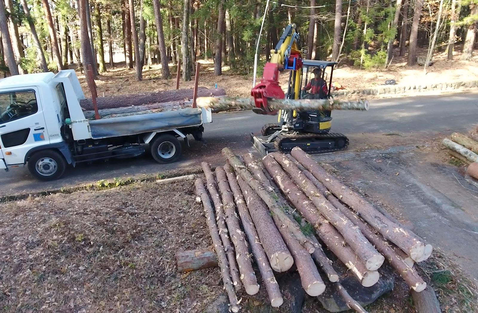 ラフタークレーンを使用した伐採の現場