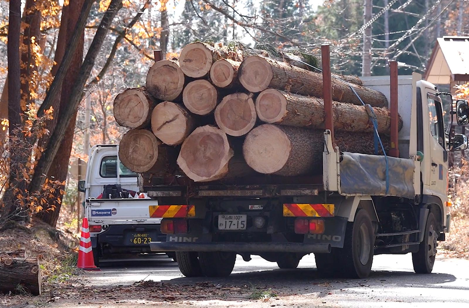 ラフタークレーンを使用した伐採の現場