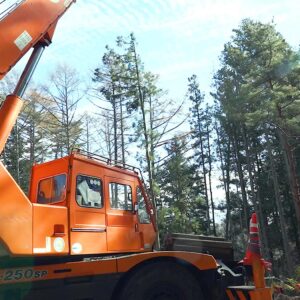 ラフタークレーンを使用した伐採の現場