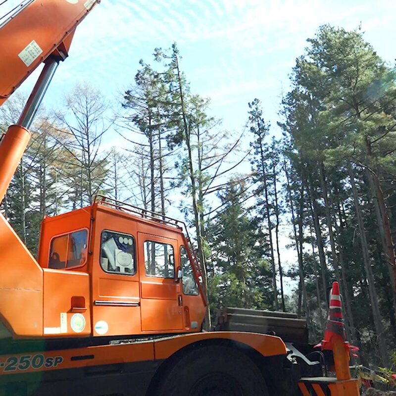 ラフタークレーンを使用した伐採の現場