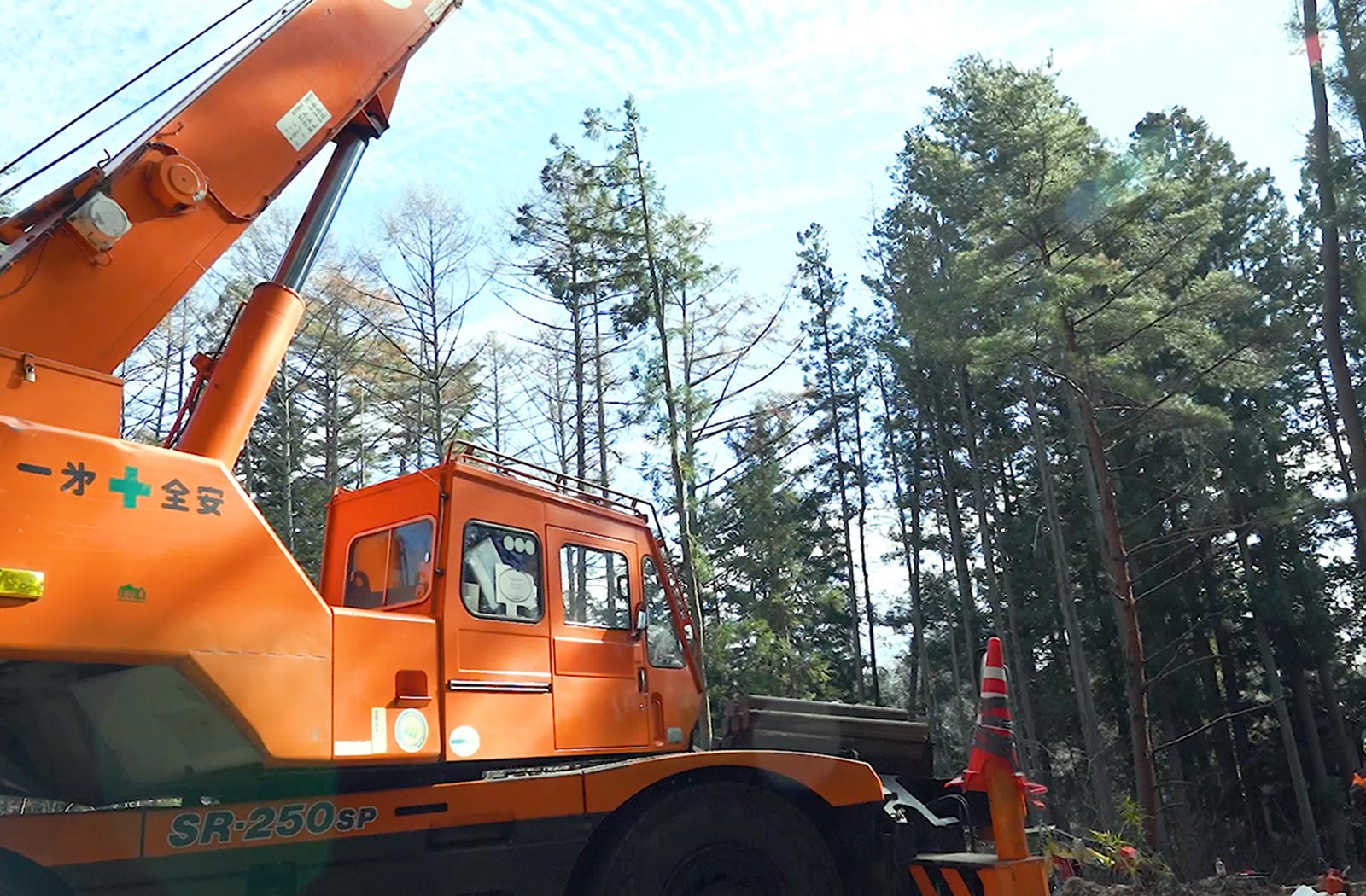 ラフタークレーンを使用した伐採の現場