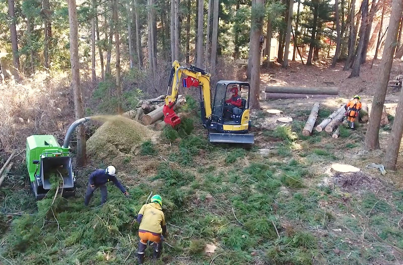 ラフタークレーンを使用した伐採の現場