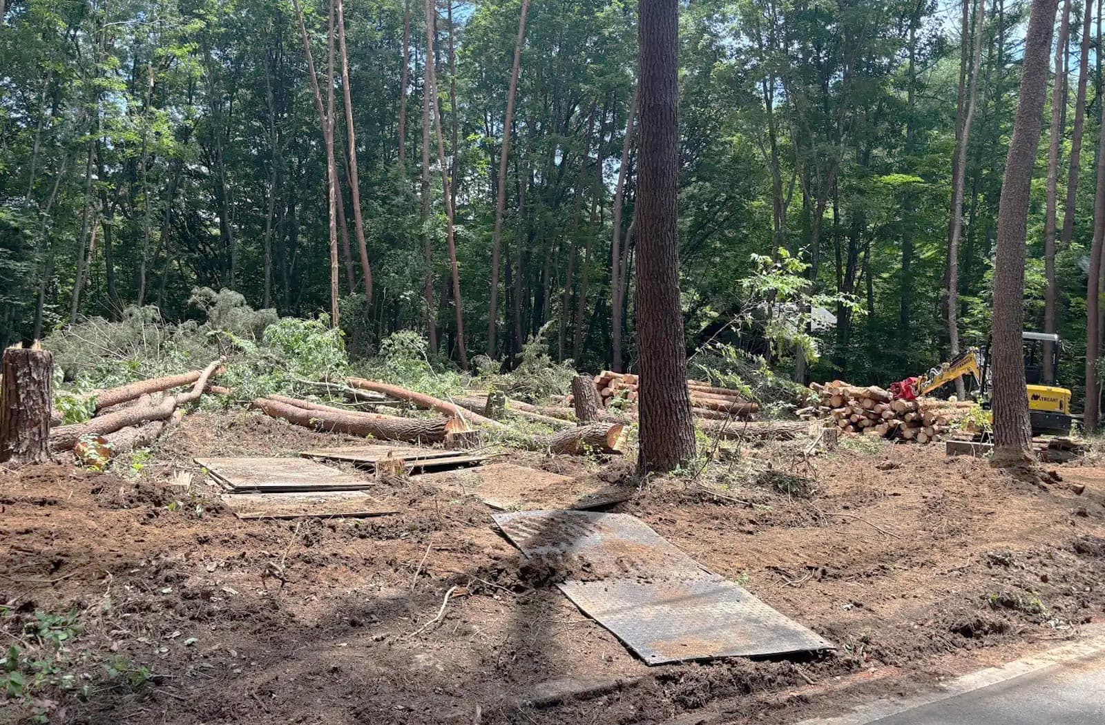 所有山林の伐採作業_04