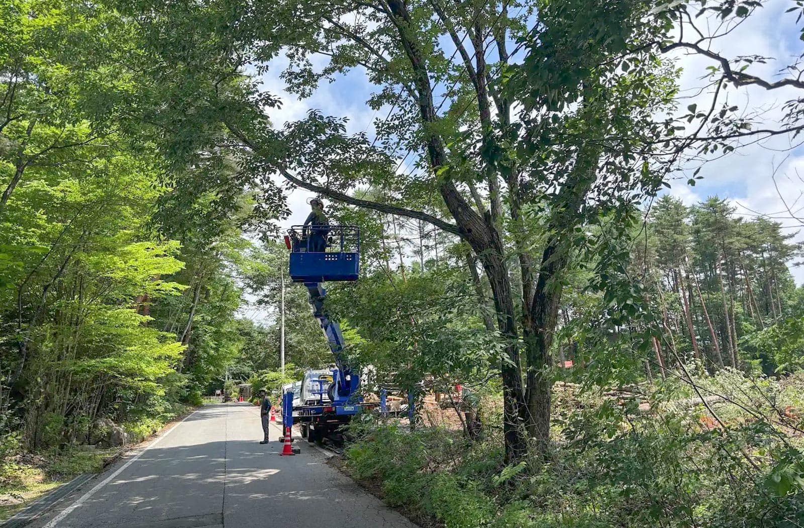 所有山林の伐採作業_03