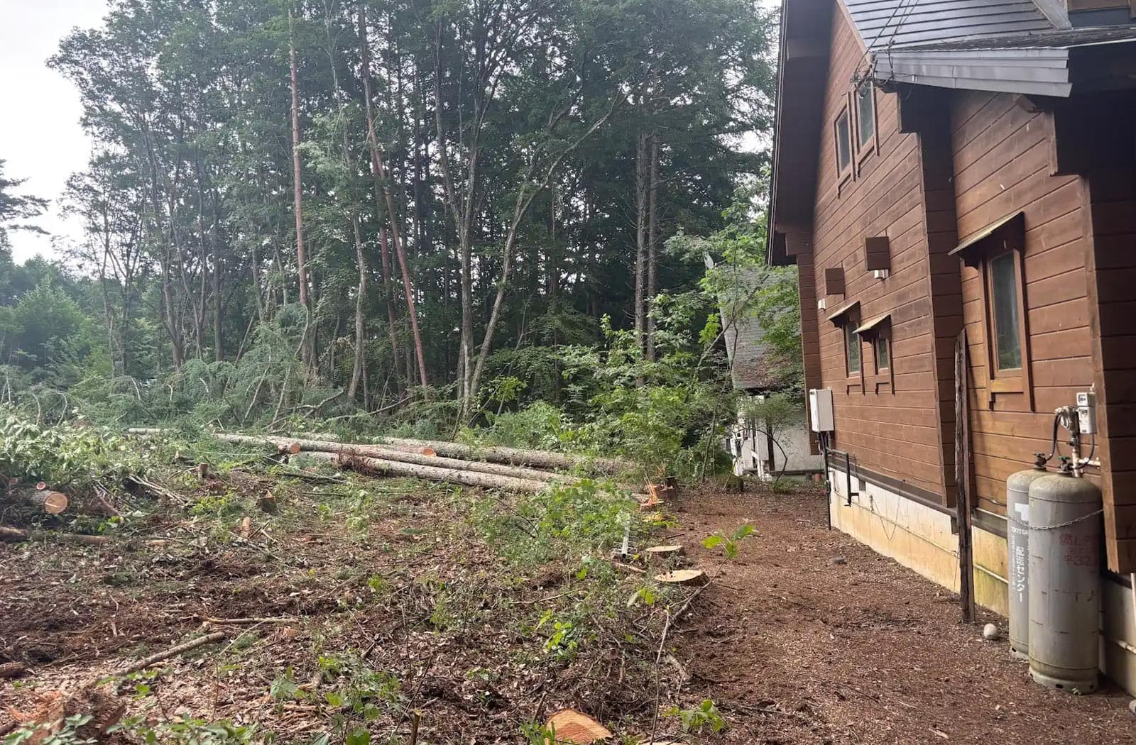 所有山林の伐採作業_05