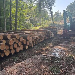 所有山林の伐採作業_06