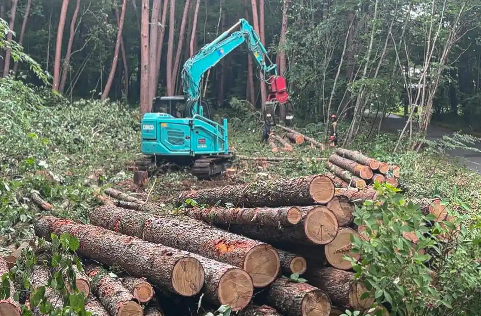 所有山林の伐採作業_03