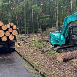 所有山林の伐採作業_04