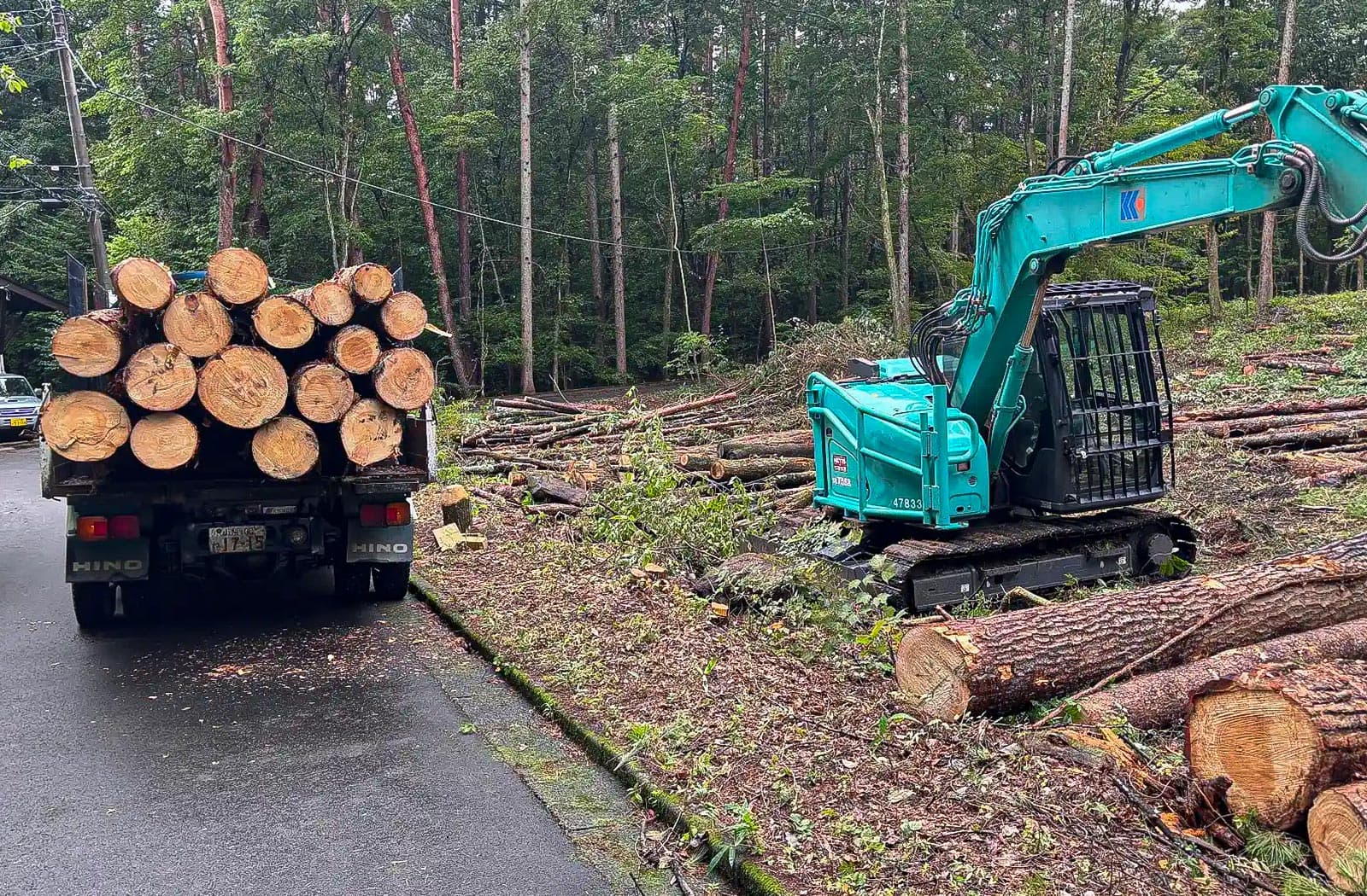 所有山林の伐採作業_04