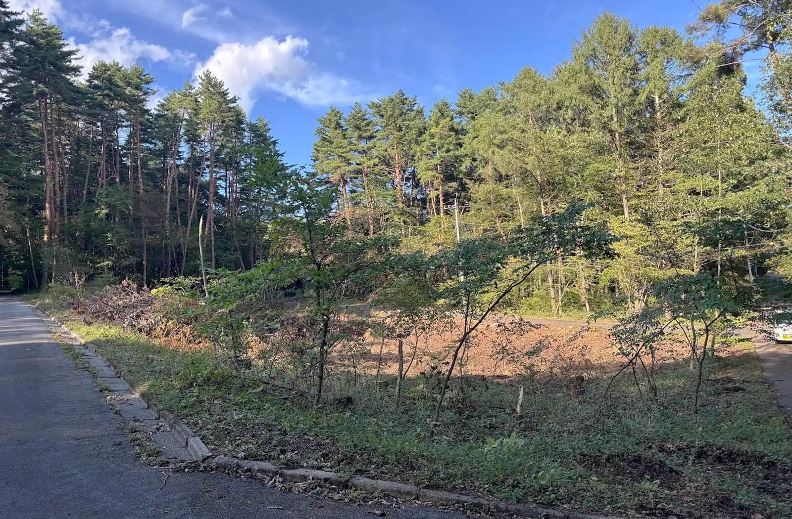 所有山林の伐採作業_01